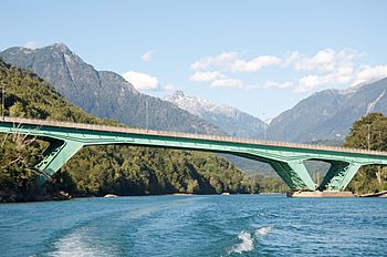 Puente de Río Puelo.jpg