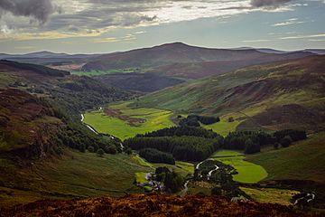 Scarr Mountain, Wicklow, Ireland.jpg