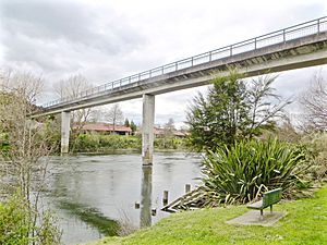 Sewer bridge at Pukete, Hamilton