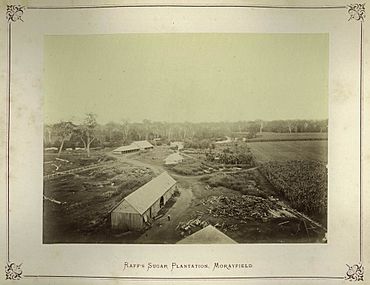 StateLibQld 2 239558 Raff's Sugar Plantation, Morayfield, Queensland, 1874.jpg