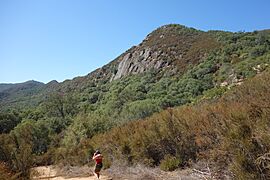 Stebbins Cold Canyon Reserve 167