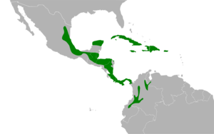 Tiaris olivaceus map.svg