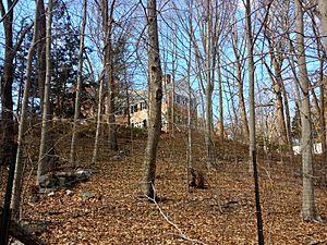 Treetops Mansion from Treetops State Park