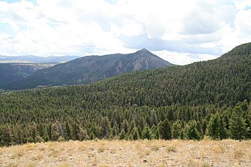 ViewFromClagettButteYNP.jpg