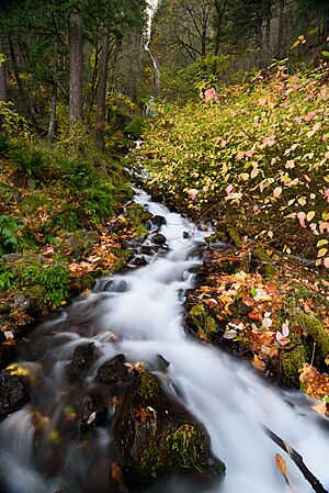 Wahkeena Falls October 2019.jpg