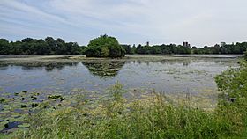 Watkins Lake State Park and County Preserve.jpg