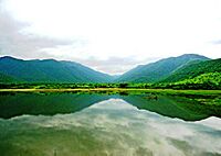 Westernghats river gobi