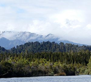 Ōkārito Lagoon 2 MRD 10