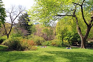 2960-Central Park-Strawberry Fields