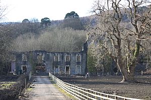 Aberpergwm House, Glynneath, West Glamorgan, 6 March 2010