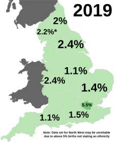 All other ethnic groups births