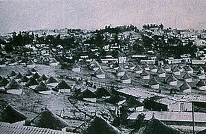 Askari (local) housing in Asmara