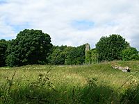 Auchans Castle view from garden