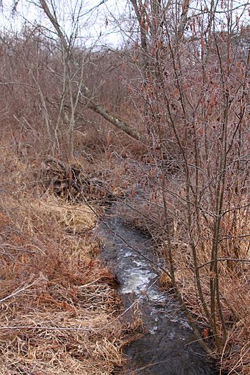 Black Ash Creek.JPG