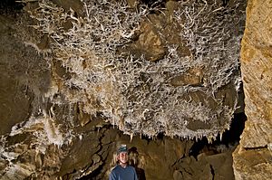 Black Chasm Landmark Room