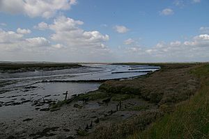 Bridgemarsh Creek