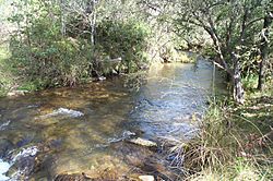 Buckland River, Victoria.jpg