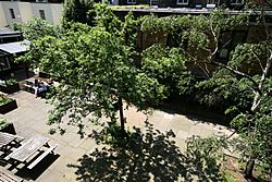 Connaught Hall courtyard