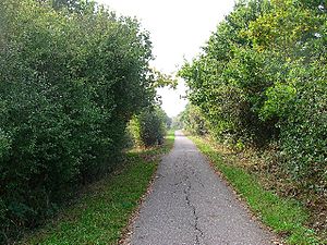 Cuckoo Trail between Polegate and Hailsham - geograph.org.uk - 62562