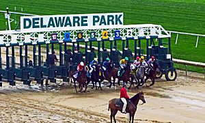 Delaware Park