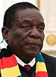 Emmerson Mnangagwa (2019-01-15).jpg