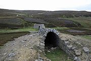 Grinton Moor Flue