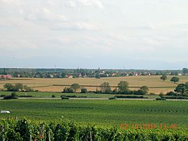 Gundolsheimvuebollenberg.JPG