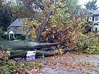 HurricaneSANDYCheltenham