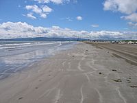 IMGDollymountStrand 3649w.JPG