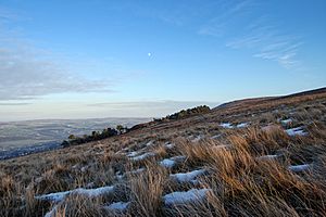 Ilkley Moor