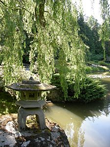 Japanese Garden - Seattle 08