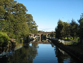 Johnstons Creek, Glebe NSW.JPG