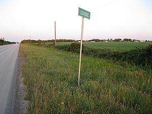 Lissie TX Sign on US 90A