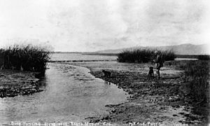 MarinaDelRey-1890