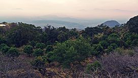 Mirador de Acahuato .jpg