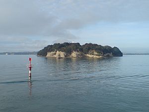 Musick Point Headland Manukau