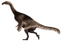 Nothronychus mckinleyi Restoration.png