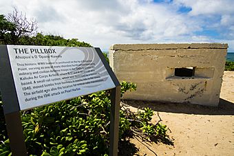 Opana Radar Site.jpg