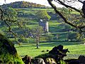 Orchardton Tower - geograph.org.uk - 1301333