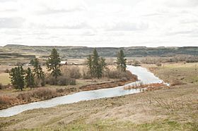 Palouse River mid-course