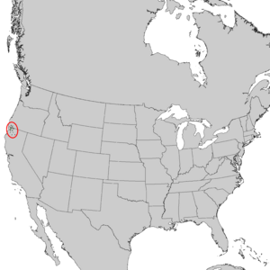 Picea breweriana range map 2.png