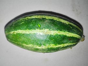 Pointed gourd.jpg