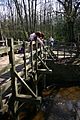 Pooh sticks bridge