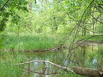 Prairie River, Michigan.jpg