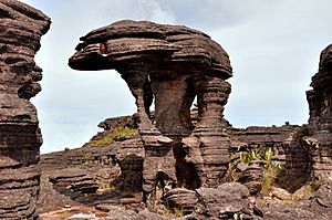 Roraima Elefante