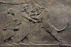 Sculpted reliefs depicting Ashurbanipal, the last great Assyrian king, hunting lions, gypsum hall relief from the North Palace of Nineveh (Irak), c. 645-635 BC, British Museum (16722368932).jpg