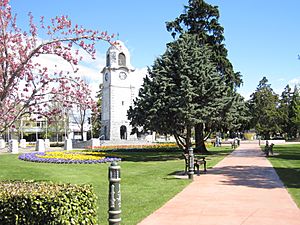 Seymour sq, Blenheim