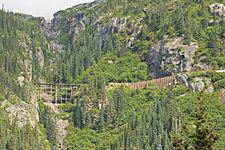 Skagway-Hoonah-Angoon Census Area Rail Bridge