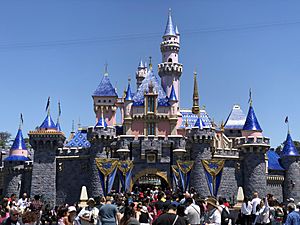 Sleeping Beauty Castle 2019