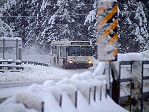 Snow Flyer Bridge 591